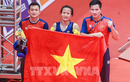 Thành tích của đoàn thể thao Việt Nam qua các kỳ SEA Games