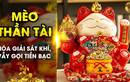 Mèo Thần Tài có quy tắc tay trái - tay phải: Đặt sai mất lộc