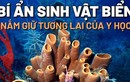 Sinh vật biển lâu đời nhất hành tinh nắm giữ tương lai y học