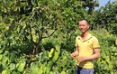 Trồng rau đặc sản trong vườn cà phê, anh nông dân Lâm Đồng "hốt bạc"