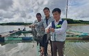 Ra hồ nước nhân tạo ở Quảng Trị nuôi cá đặc sản to bự