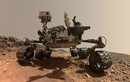 Robot NASA bắt được tín hiệu sự sống không mong đợi