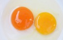 Lòng đỏ trứng gà màu đậm có bổ dưỡng hơn?