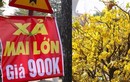 Treo biển 'xả hàng', hoa Tết vẫn vắng người mua