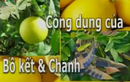 Ngỡ ngàng công dụng độc đáo của bồ kết và chanh