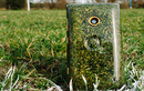 Ngắm điện thoại di động làm từ… cỏ siêu dị