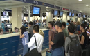 Video hướng dẫn đi lại và làm thủ tục sân bay Tân Sơn Nhất dịp Tết