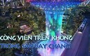 Thán phục công viên khổng lồ “treo” trong sân bay Changi 