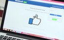 Vụ HH Phương Nga: Loạt tài khoản Facebook liên quan bị đánh sập