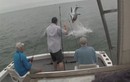 Cá mập trắng phi thân cướp cá của ngư dân