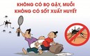 Cách xử lý dụng cụ chứa nước có bọ gậy ngừa sốt xuất huyết