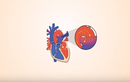 Video: Bệnh tim bẩm sinh có thể tự hồi phục