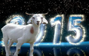 Cười lăn lộn nghe dê chúc mừng năm mới 2015