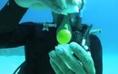 Điều gì xảy ra khi đập trứng dưới biển sâu 20m?