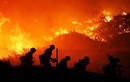Giật mình với những con số cháy rừng kinh hoàng ở Australia