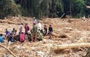 Tìm thấy 2 thi thể trong vụ sạt lở núi tại Trạm bảo vệ rừng ở Quảng Bình