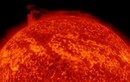  Xoáy cực của Mặt Trời- phiên bản địa ngục trên Trái Đất