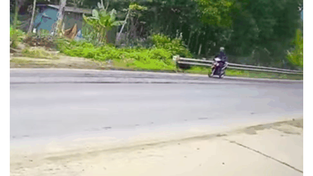 Clip: Chó bất ngờ lao ra đường “hạ gục' người đàn ông đi xe máy