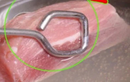 Mẹo làm sạch thịt lợn để loại bỏ hóa chất tồn dư
