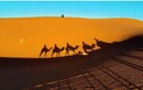  Có gì bí ẩn dưới lớp cát của sa mạc Sahara? 