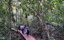 Rủ nhau đi “trốn nắng” ở Vườn Quốc gia Cát Tiên