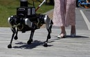 Trung Quốc thử nghiệm chó robot dẫn đường hỗ trợ người khiếm thị 