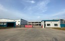 Vi phạm môi trường, Công ty TNHH P&F Brothers Việt Nam bị phạt 