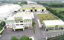 Phạt 330 triệu đồng đối với Công ty Clark Material Handling Việt Nam