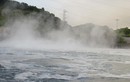 Nhiệt điện Quảng Ninh xả thải: Thực nghiệm nước sông nóng làm chết tôm