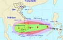 Khẩn trương sơ tán 430 nghìn dân, ứng phó bão số 12