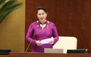 Chủ tịch Quốc hội: Bộ trưởng Tài Chính chưa có giải pháp mới
