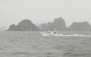 Ứng phó bão số 5 sắp đổ bộ đất liền, Quảng Ninh dừng cấp phép tàu thuyền