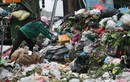 Lùm xùm bãi rác Nam Sơn: “Khủng hoảng” rác và mối đe dọa tiềm tàng