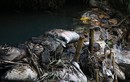 Xả dầu thải Công ty Gốm sứ Thanh Hà “đầu độc” nước sông Đà: Do tiếc 35 triệu tiêu huỷ?