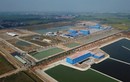 NMNM sông Đuống xài đường ống Xinxing Trung Quốc... sông Đà bị bắt hủy: Có gì lạ?