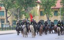 Tướng Tô Lâm: Sẽ sử dụng ngựa trong nước như Bắc Hà trong Kỵ binh