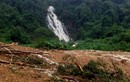 Tin nóng ngày 5/12: Hai người đàn ông chết trên võng trong rừng Quảng Bình