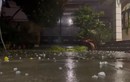 Người dân TP HCM bất ngờ vì mưa đá xuất hiện nhiều nơi