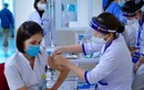 Bao nhiêu triệu liều vắc xin về Việt Nam tháng 9,10?