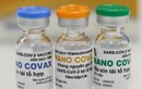 Vắc xin Nanocovax “made in Việt Nam” tháng 3/2022 sẽ được lưu hành?