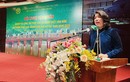 Hà Nội nâng cao hiệu lực quản lý Nhà nước về văn hóa, gia đình và thể thao