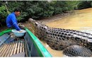  Tình bạn kỳ lạ 26 năm giữa một ngư dân Indonesia với cá sấu 