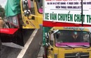 Hải Dương: Đang xử lý xe chở rác Minh Ngọc rò rỉ ra đường