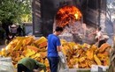 Hải Dương: Thông tin đốt 20 tấn vàng mã “trả lễ” Đền Tranh là chưa chính xác