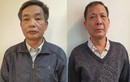 Bắt giam cựu Tổng Giám đốc Tổng Công ty Chè Việt Nam
