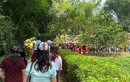 Hàng nghìn du khách về thăm quê Bác trong ngày thống nhất non sông