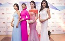 Hoa hậu Kỳ Duyên rạng rỡ đọ sắc cùng Lan Khuê
