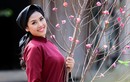 Top 25 Miss World Nguyễn Thị Loan về Phú Thọ hát Xoan
