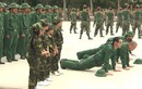 4 cặp bố con sao Việt toát mồ hôi làm tân binh