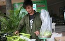 Kinh doanh thất bại, Lệ Rơi bán ổi ở Hà Nội